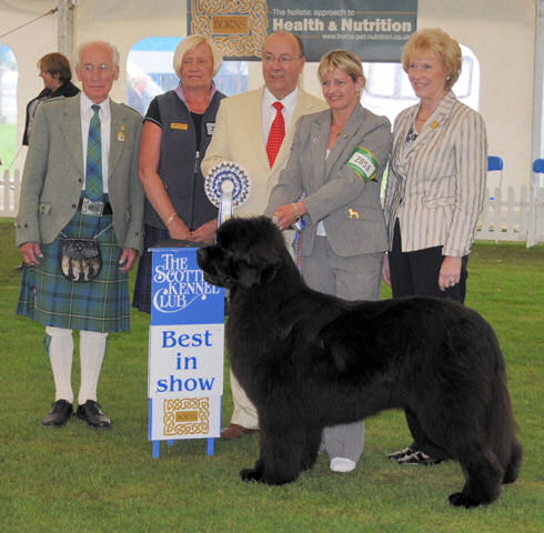 Chino goes Best in Show