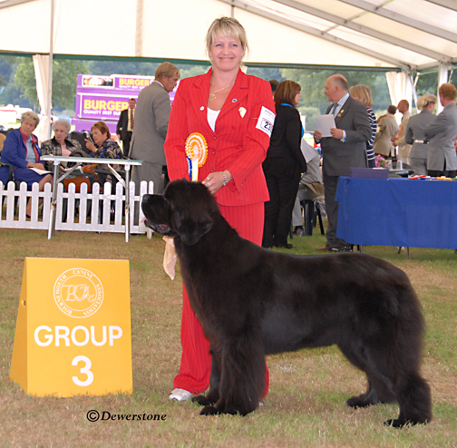 Ch. Cayuga Slam Dunk at Sandbears winning G3 at Bournemouth