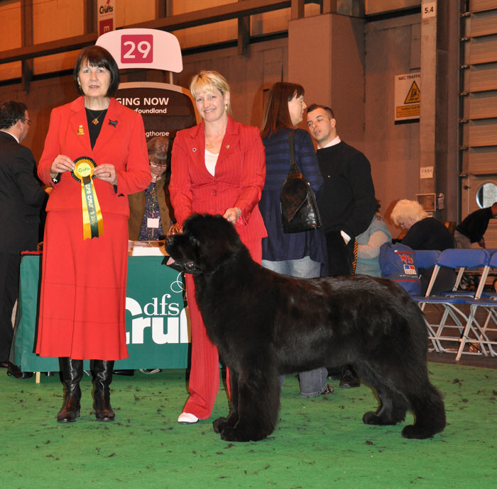 Luna winning the Reserve CC at Crufts 2010 under Anne Springthorpe