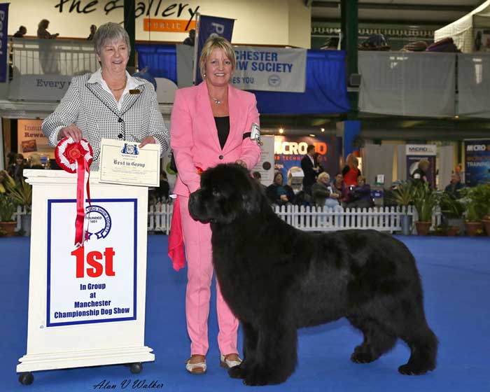 Suzanne with Pierce winning the Working Group at Manchester in 2016