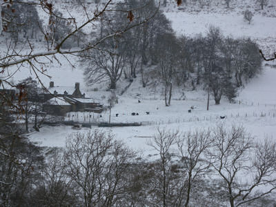 Sandbears home in Winter
