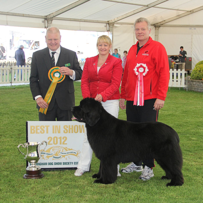 Ch. Sandbears Stride'N Style JW winning Best in Show at Birmingham National