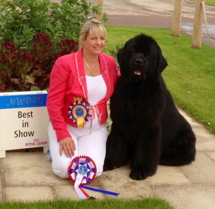 Ch. Sandbears Stride'N Style JW winning Best in Show at NW&PBS in July