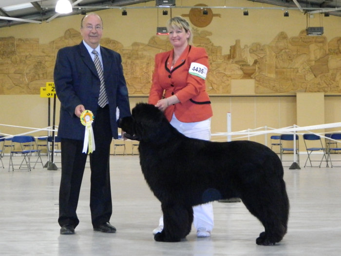 Stride is G4 at West of England Ladies' Kennel Society - April 2012