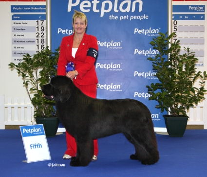 Stride at PetPlan finals