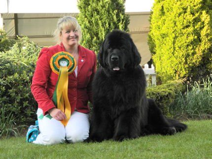 Stride Best in Show at Birmingham National