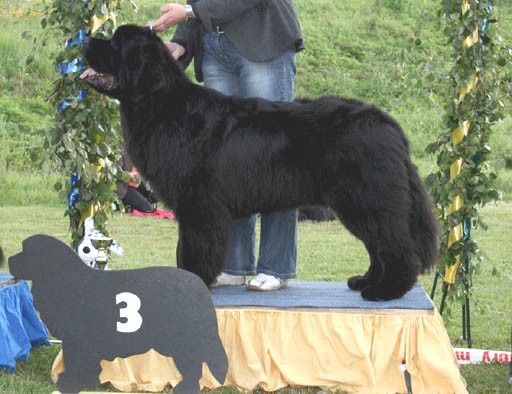 Veeti on the podium