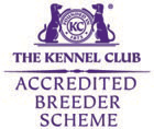 KC Accredited Breeder Scheme logo