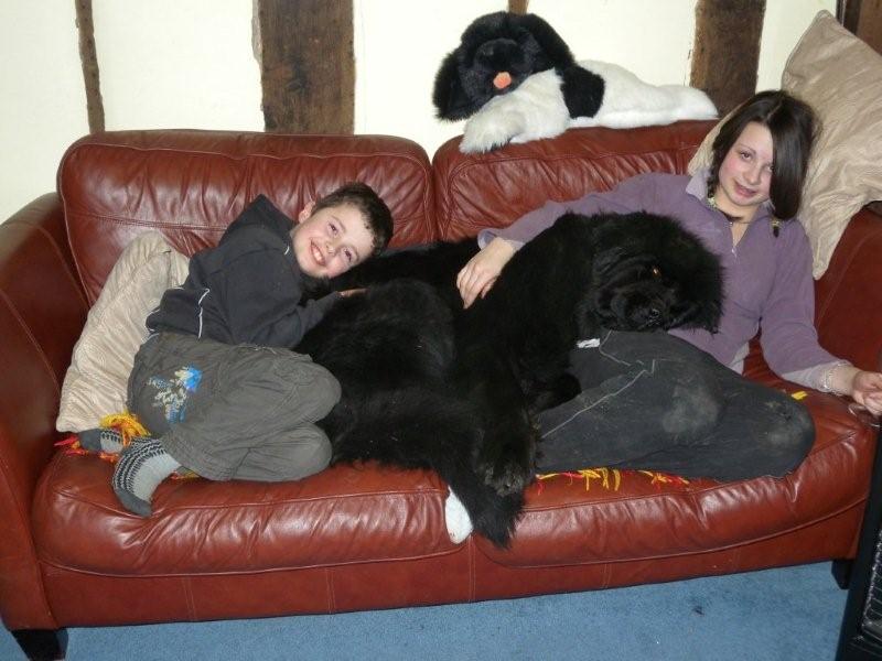 AJ on the sofa with Jack and Rebecca