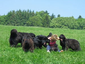 Newfie adults with Suzanne