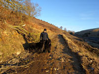 A walk down the lane