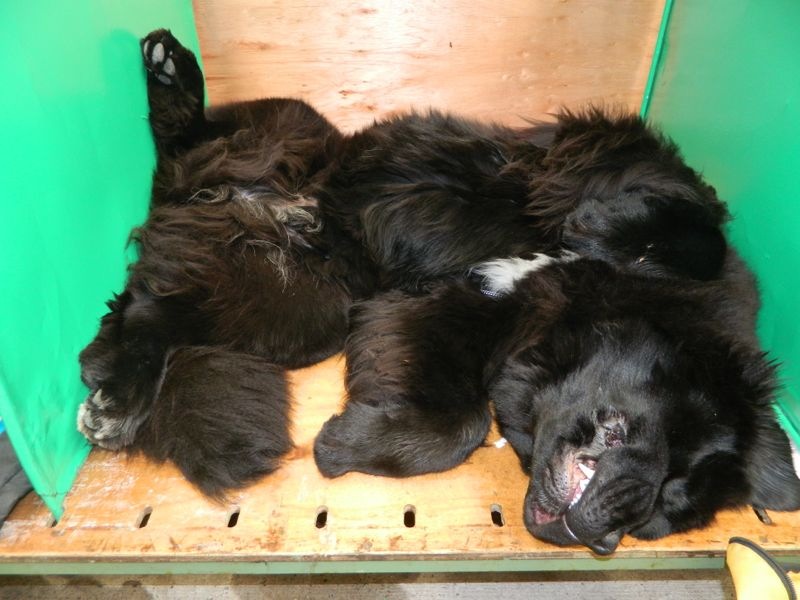 Flaked out on the bench