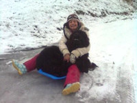 Sledging fun