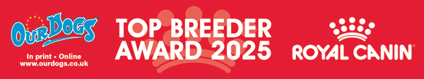 Top Newfoundland Breeder 2025