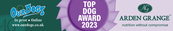 Top Newfoundland Dog 2023