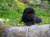 Posing on the wall