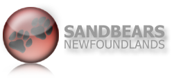 Sandbears logo