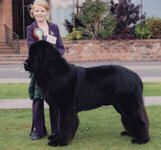 Chip with Jessica his Junior Handler