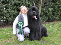 Jo with Sandbears Mack Super Liner for Bownbears at the Newfoundland Club Open Show 2010