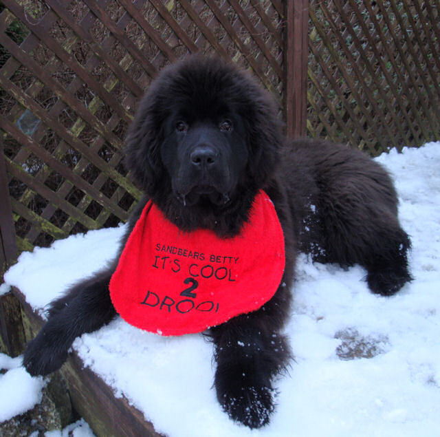 Cody in her bib