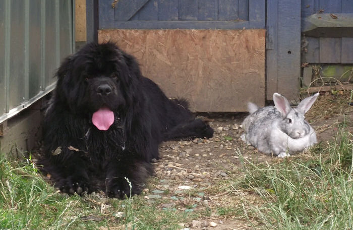 Douglas and friend