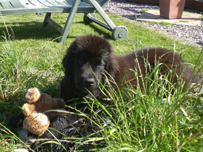 Evie looking after her teddy