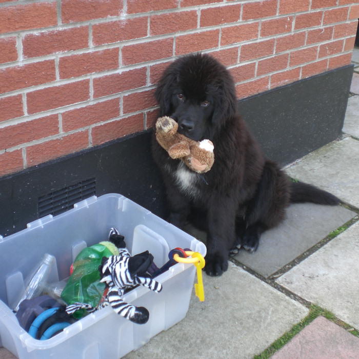 Evie and her toybox