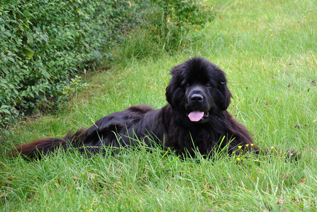 Looking pretty in the garden