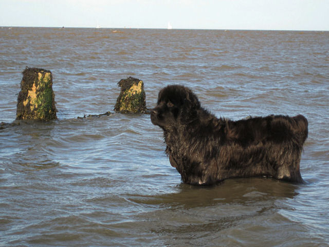 Wet at a favourite swimming spot