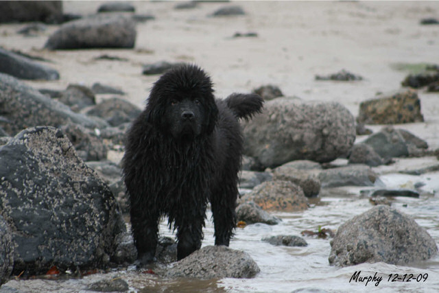 Standing by the rocks