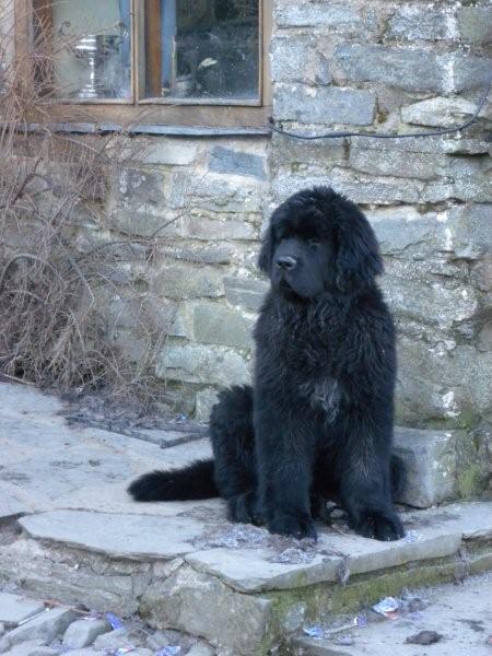 Ted in the courtyard