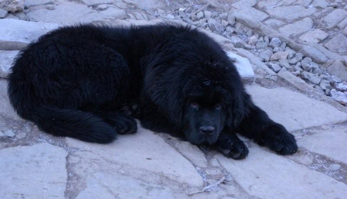 Ted chilling in the courtyard