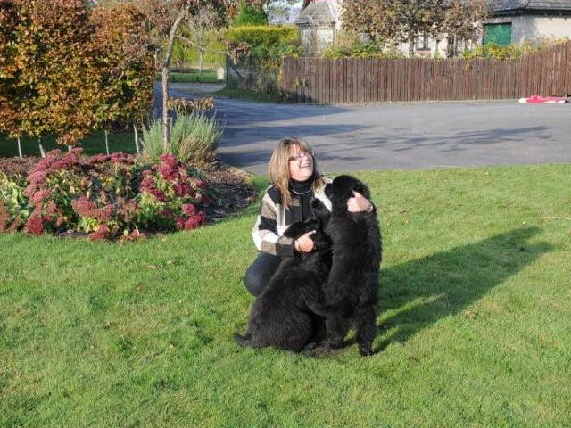 Puppies loving Mum